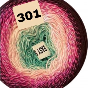 301 301