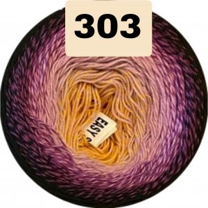 303 303