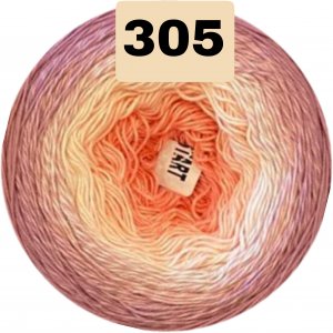305 305