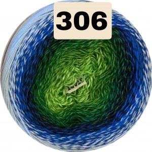 306 306