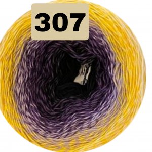 307 307