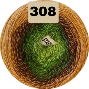308 308