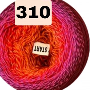 310 310