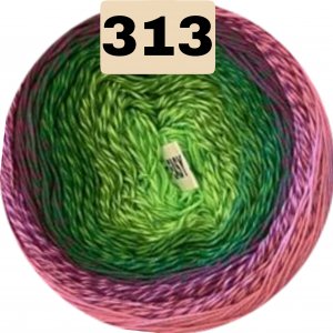 313 313