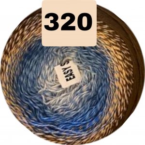 320 320